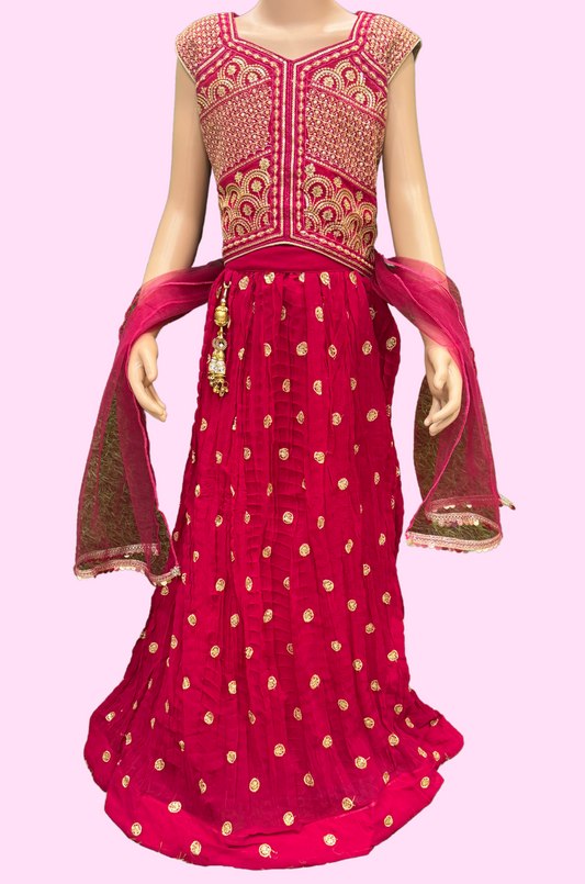 Lehenga Choli set