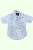 Casual Shirts