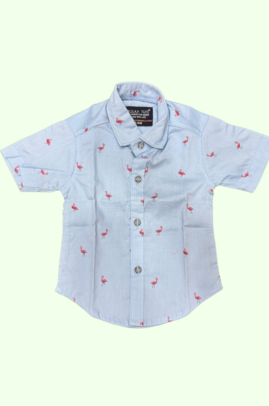 Casual Shirts