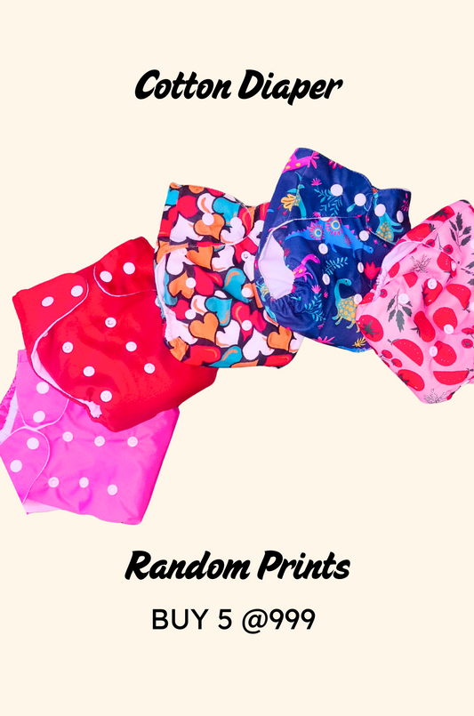 Imported Cloth Diaper with Insert  (Buy 5 @ 999+ship)