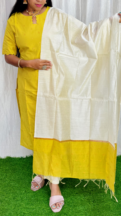 Premium Raw Silk Salwar Set-(Top,Bottom,Duppatta)-Non Feeding Only FC0313