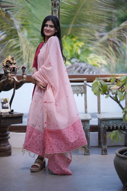 Premium Ethnic Raw Silk Maxi and Duppata-Feeding(With Lining)FC002